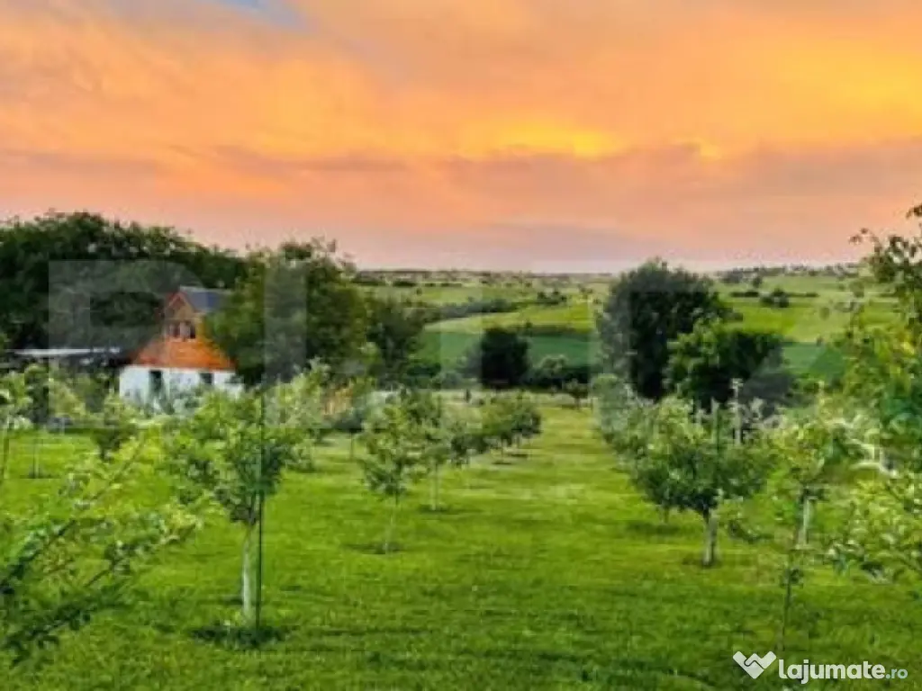 Cabană deosebită cu livadă și panoramă superbă–refug 