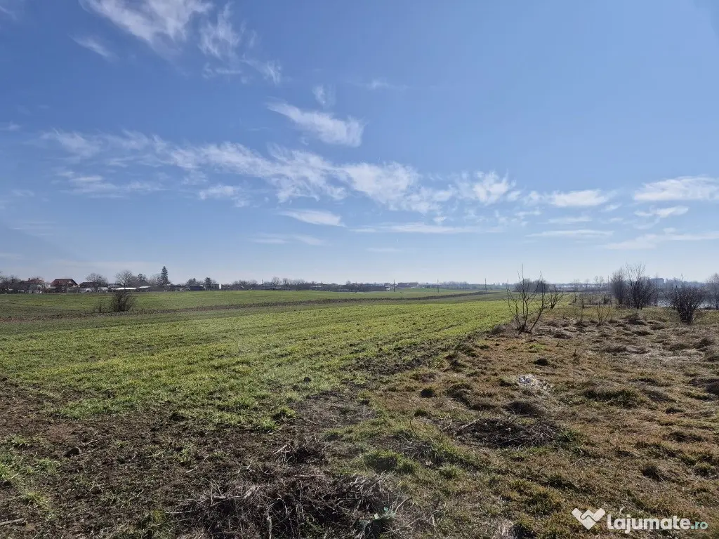 Trestieni - Ulmi, vanzare teren 1.663mp, intravilan 