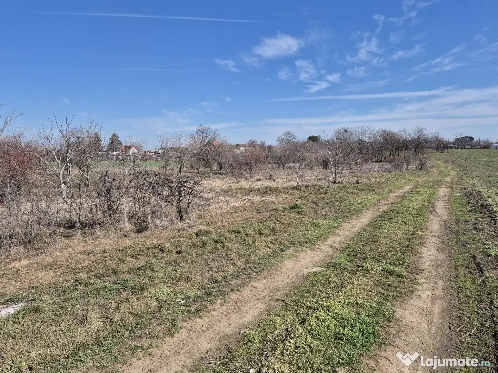 Trestieni - Ulmi, vanzare teren 1.663mp, intravilan 