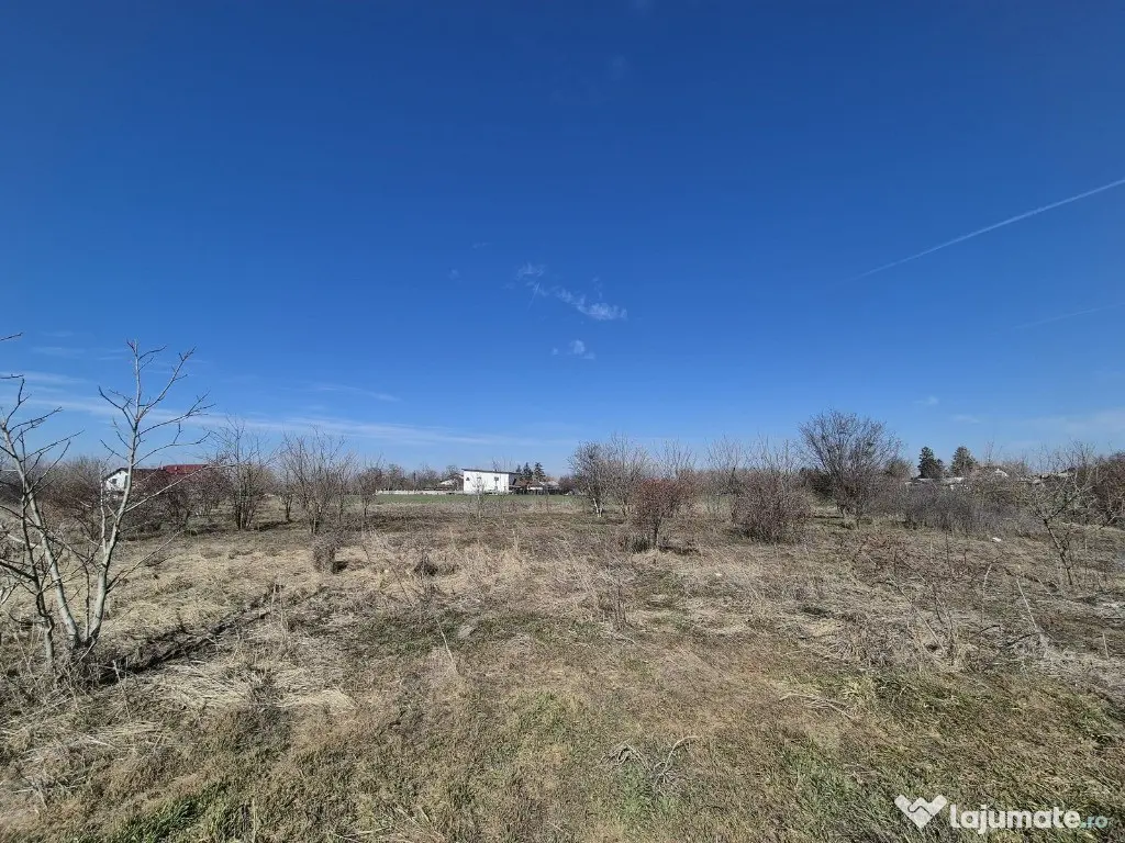 Trestieni - Ulmi, vanzare teren 1.663mp, intravilan 