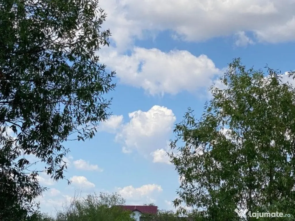 Trestieni - Ulmi, vanzare teren 1.663mp, intravilan 