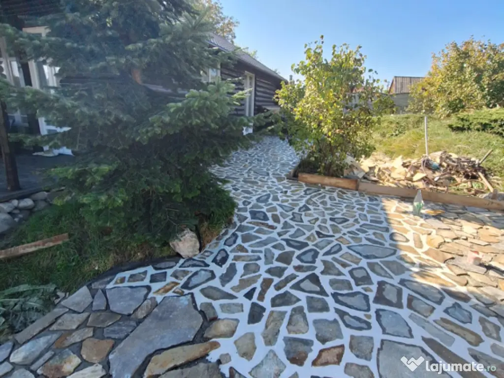 Piatra gazon plante la cele mai bune prețuri 