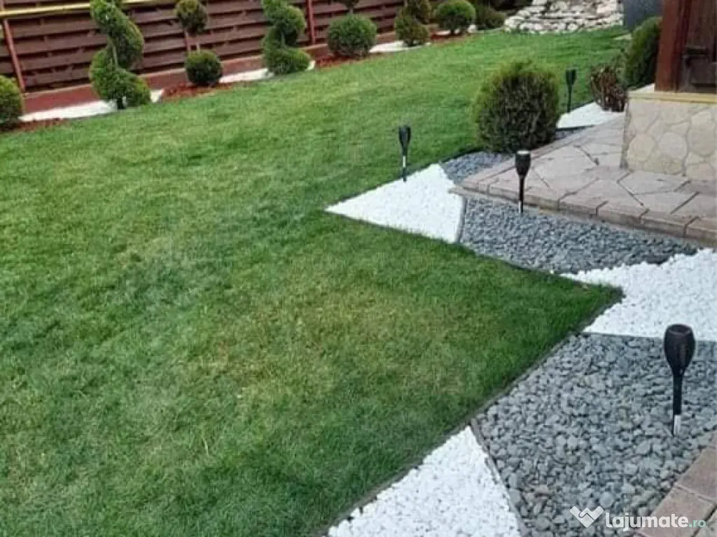 Piatra gazon plante la cele mai bune prețuri 