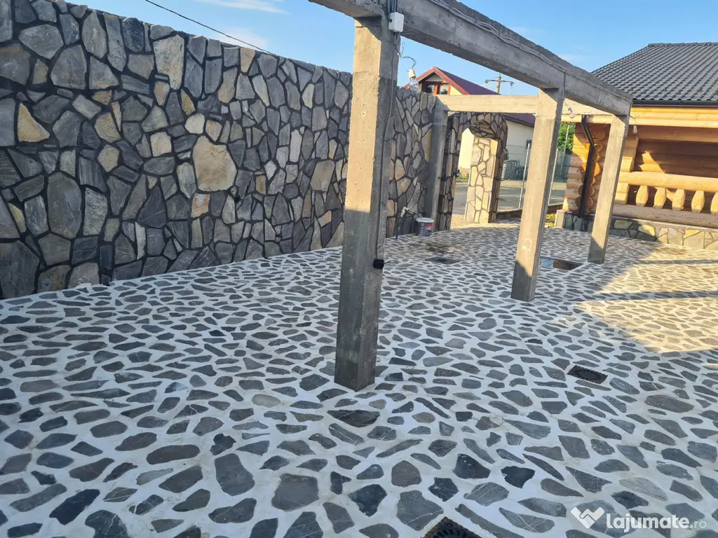 Piatra gazon plante la cele mai bune prețuri 