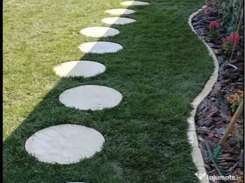Piatra gazon plante la cele mai bune prețuri 