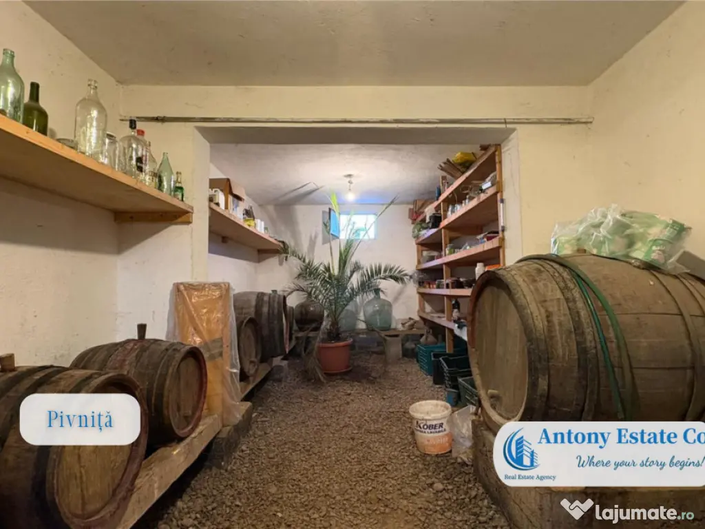 Casa cu Livada – proprietate deosebita cu livada si cur... 