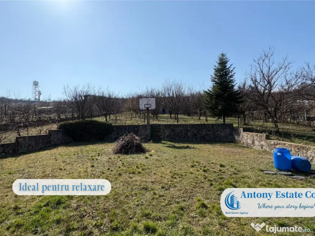 Casa cu Livada – proprietate deosebita cu livada si cur... 