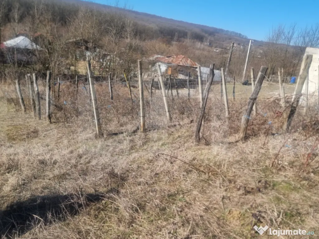 Casa renovata plus teren 