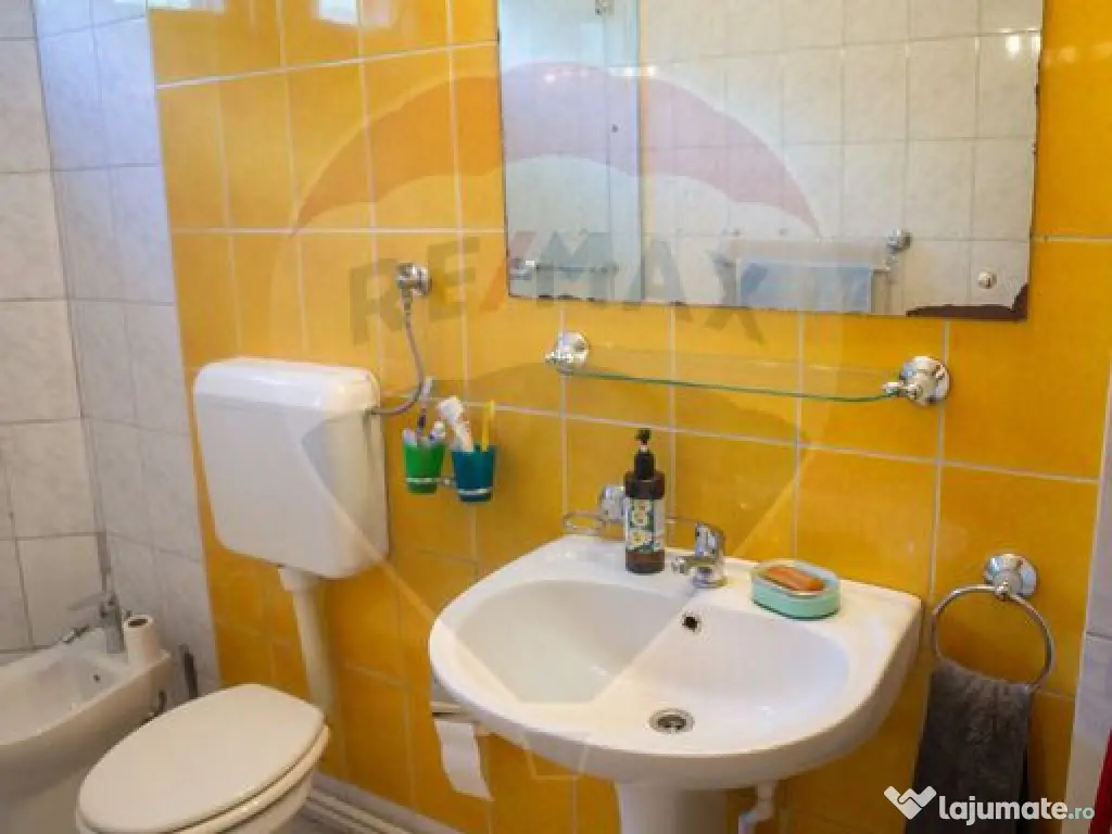 Vila multifunctionala de vanzare, Soseaua Slaj 