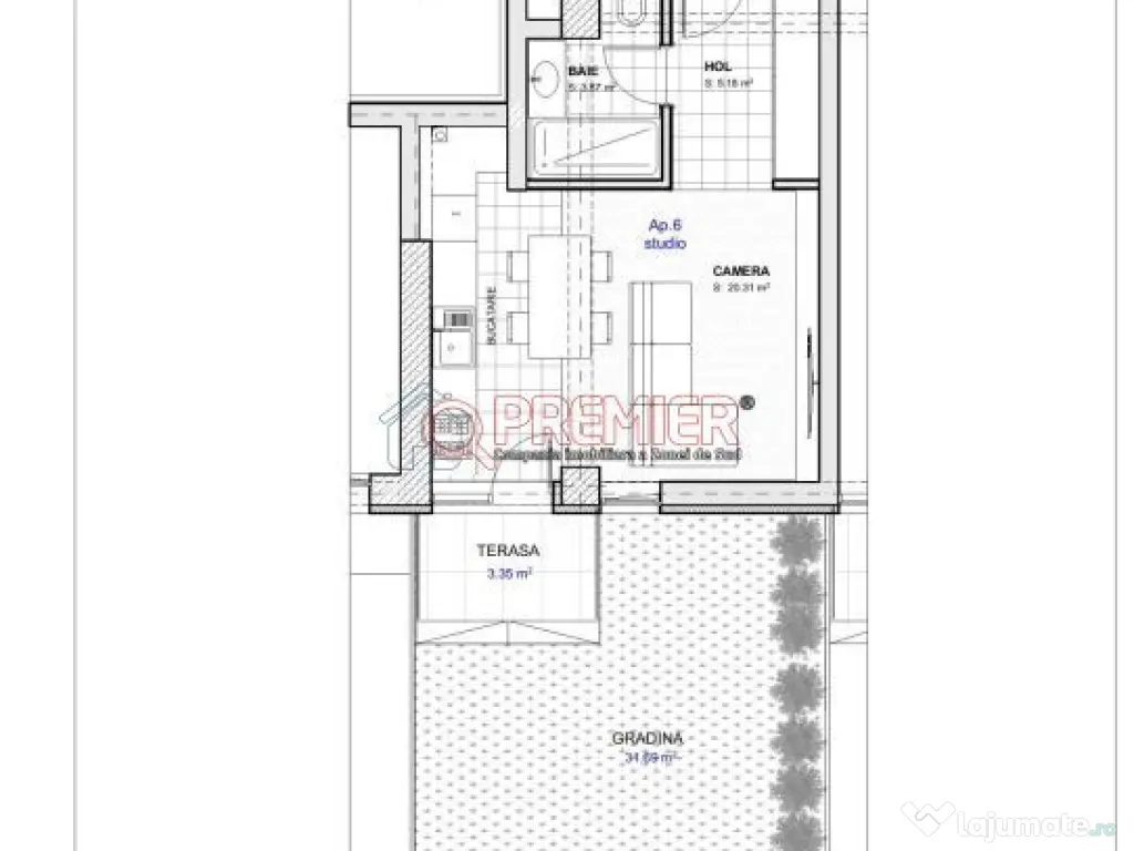 Tineretului - Parcul Carol garsoniera cu curte 