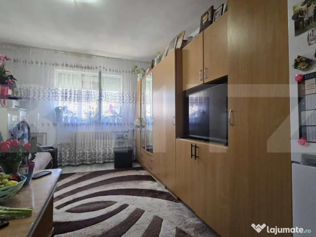 Garsoniera, 22mp, mobilata, utilata, Blascovici1 