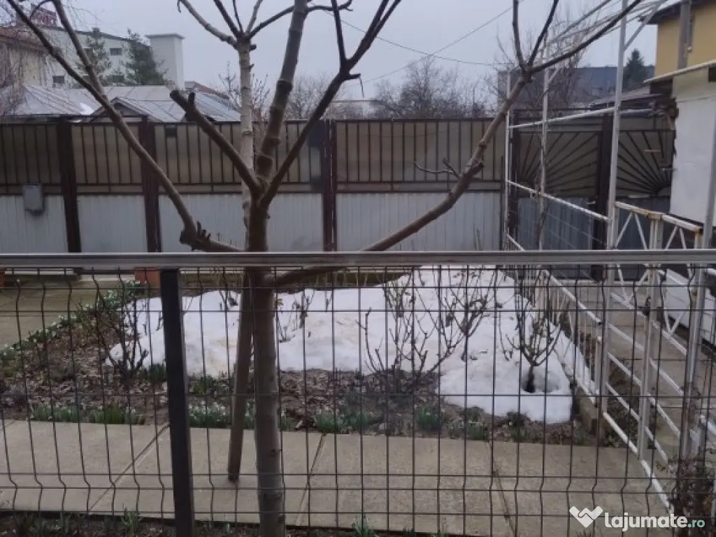 Aparatorii patriei parter la curte