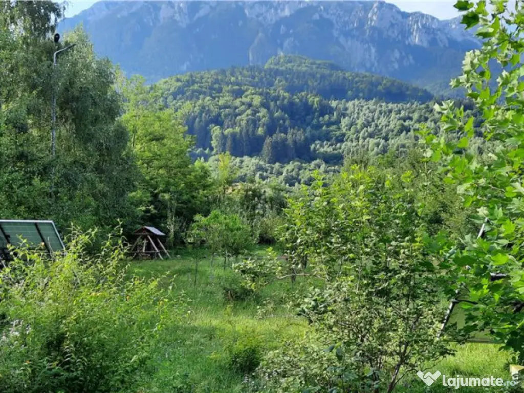 In cartea de povesti a Pietrei Craiului, ansamblu turistic i 