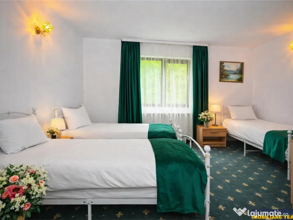 In cartea de povesti a Pietrei Craiului, ansamblu turistic i 