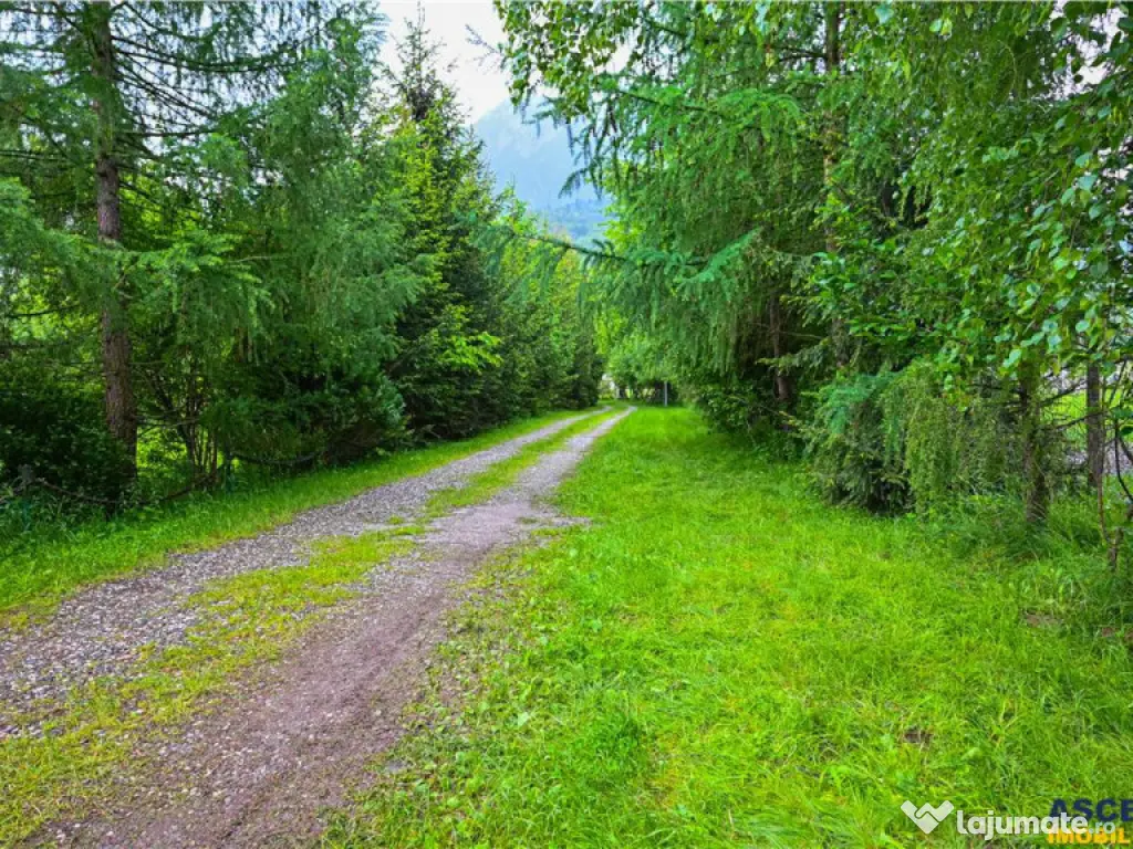 In cartea de povesti a Pietrei Craiului, ansamblu turistic i 