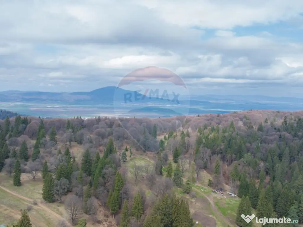 Teren Poiana Brasov, langa Stana turistica 1872mp, PUZ ca... 