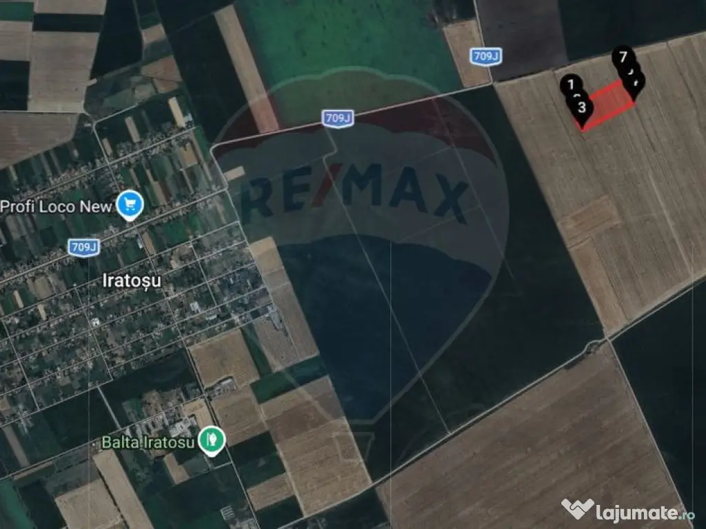 Teren extravilan 46,300mp Curtici 