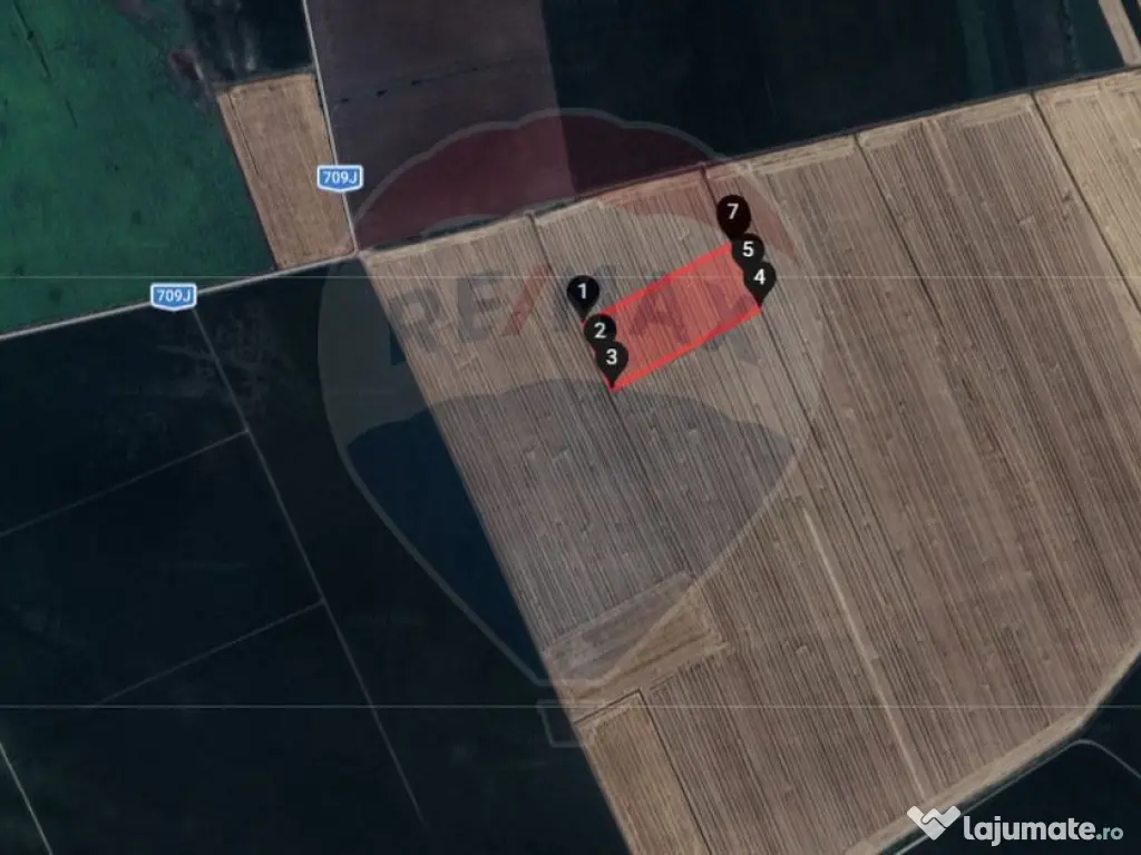 Teren extravilan 46,300mp Curtici 