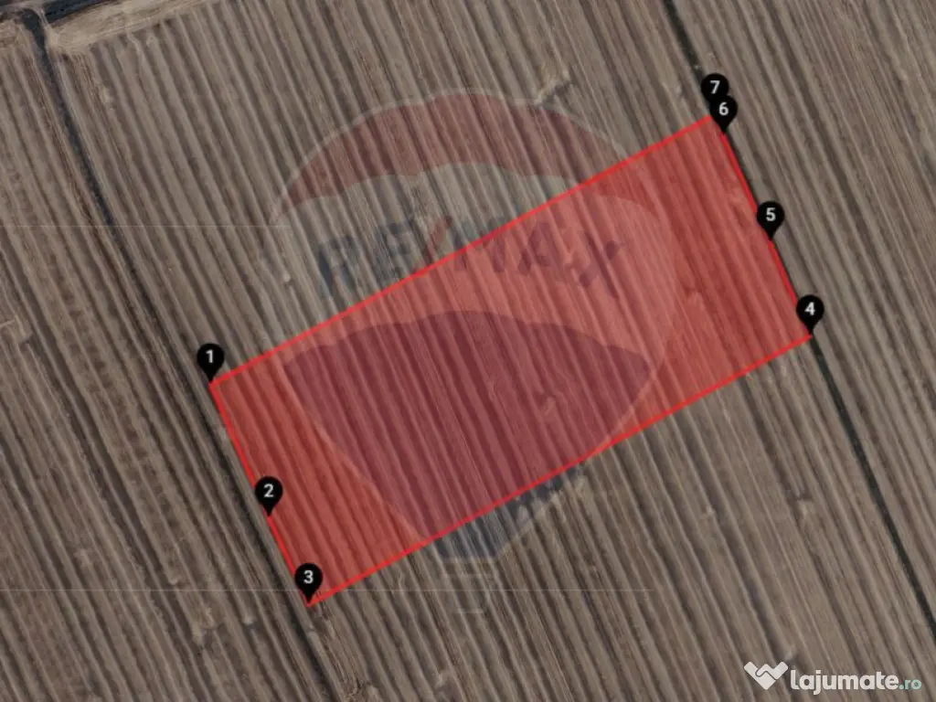 Teren extravilan 46,300mp Curtici 