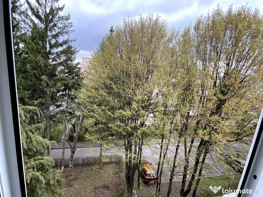 Apartament de 2 camere zona ASTRA,str Minerva, 