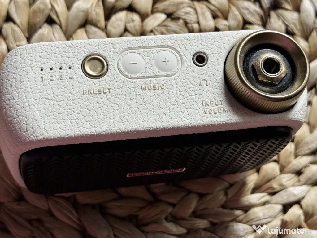 Positive Grid Spark Go 