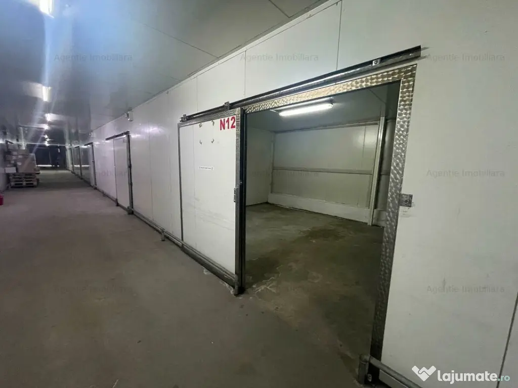 Spatii de depozitare 25 - 60 mp: produse BACANIE - Norme DSV