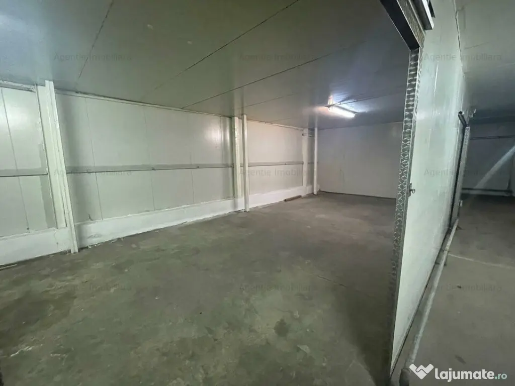 Spatii de depozitare 25 - 60 mp: produse BACANIE - Norme DSV