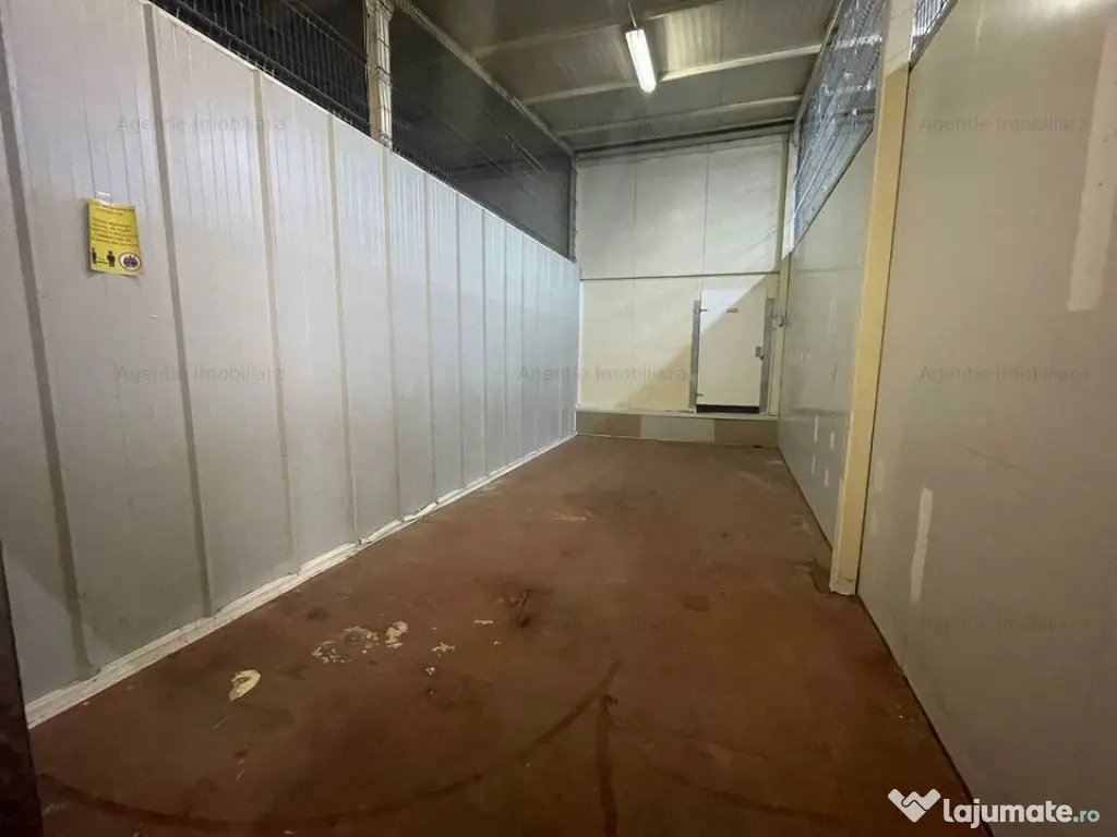 Spatii de depozitare 25 - 60 mp: produse BACANIE - Norme DSV