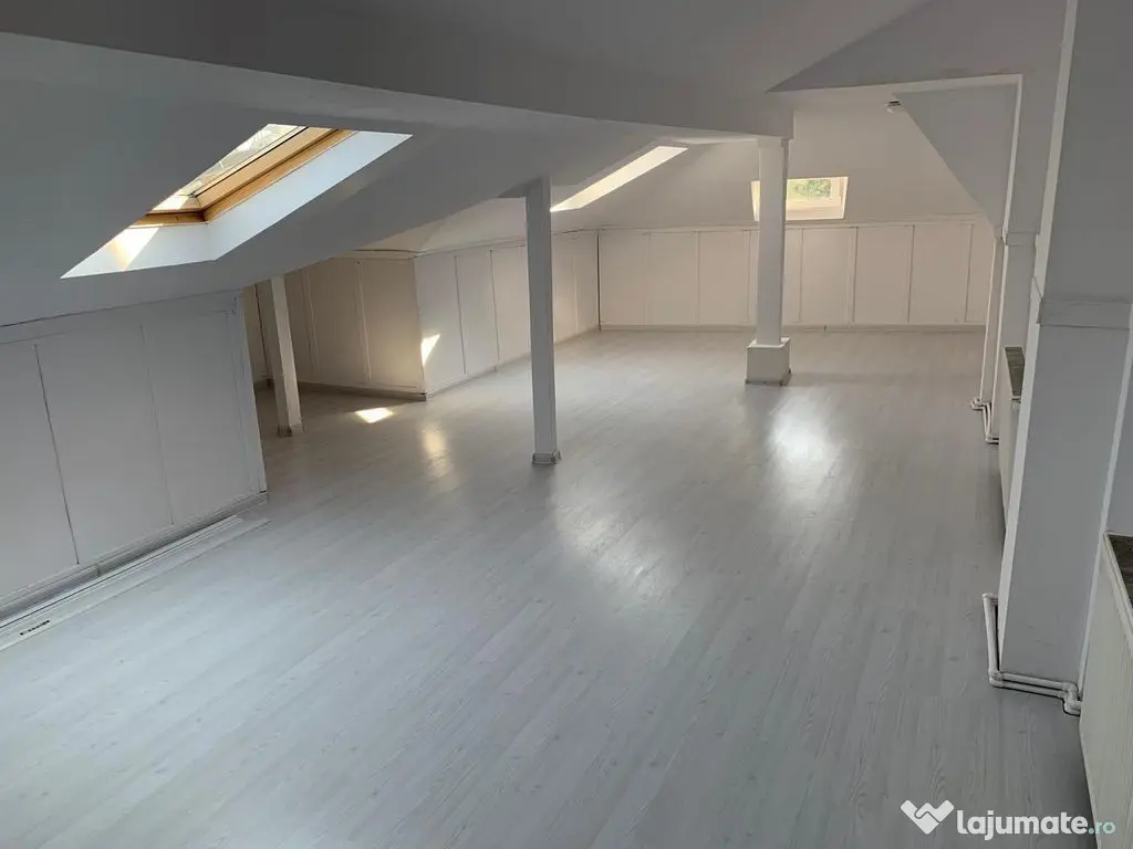 Casa cu destinatie comerciala 335 mp 