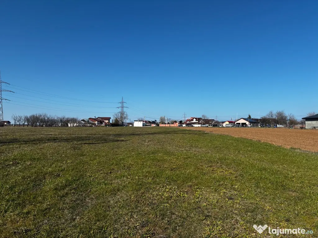 Teren intravilan 3000 mp