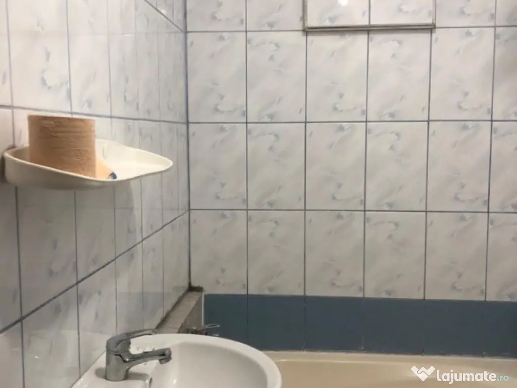 Brancoveanu melinesti confort 3