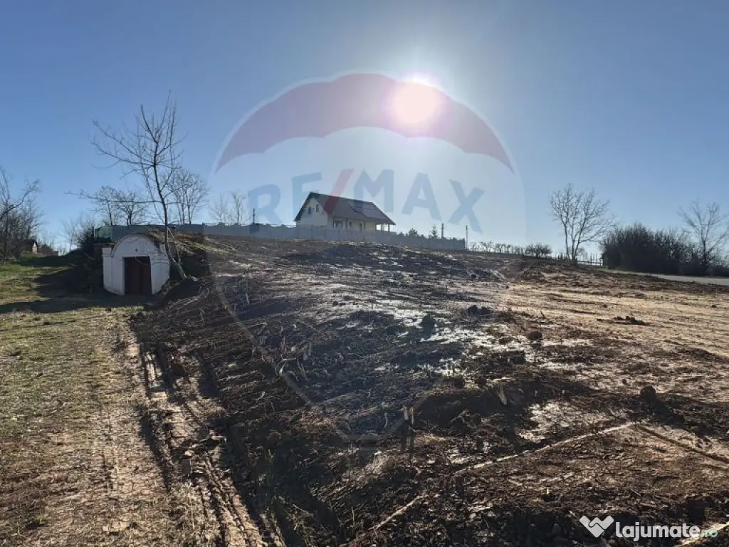 Teren intravilan de vânzare, 11.600 mp –Paleu, județu... 