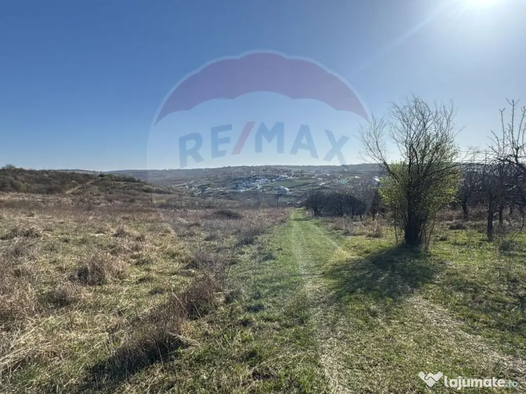 Teren intravilan de vânzare, 11.600 mp –Paleu, județu... 