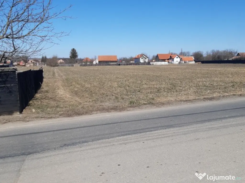 Teren intravilan 2325mp construibil ut.drum asfaltat pozitionare buna 