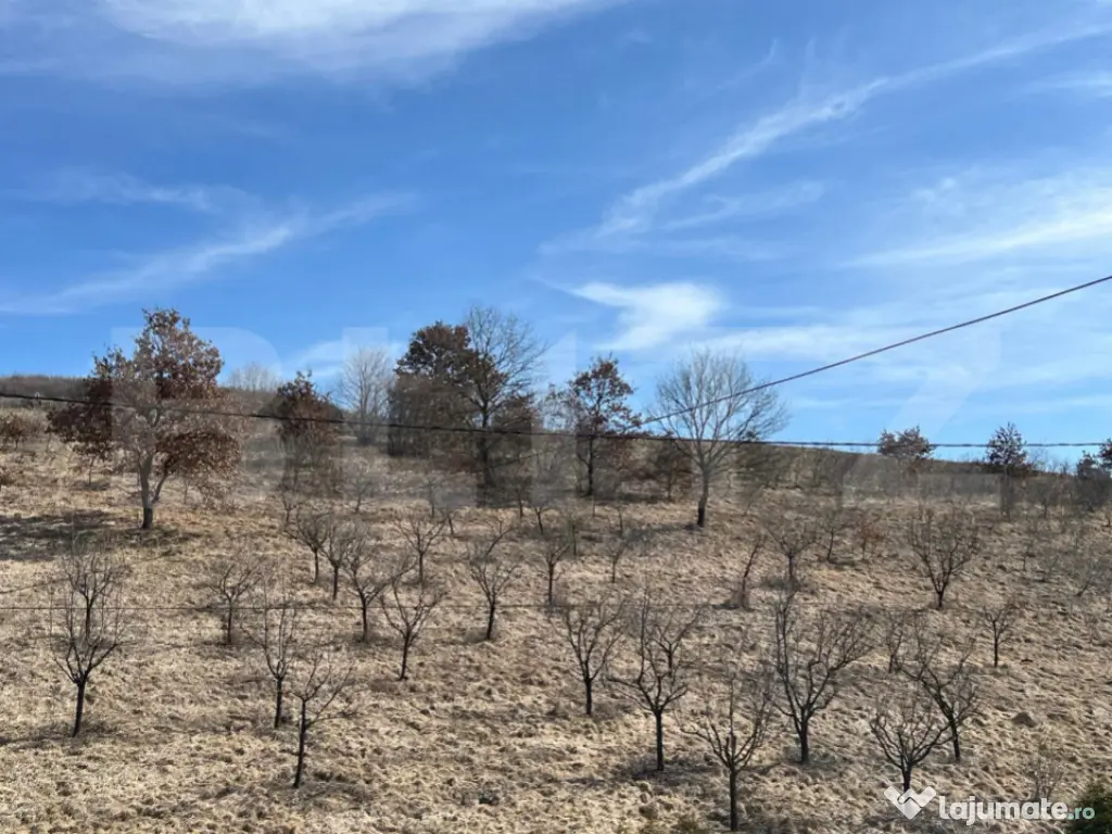 Opprtunitate de investiție! Teren intravilan în Mera! 