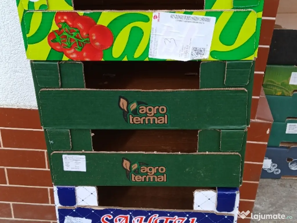 Lădițe pentru portocale sau roșii . 