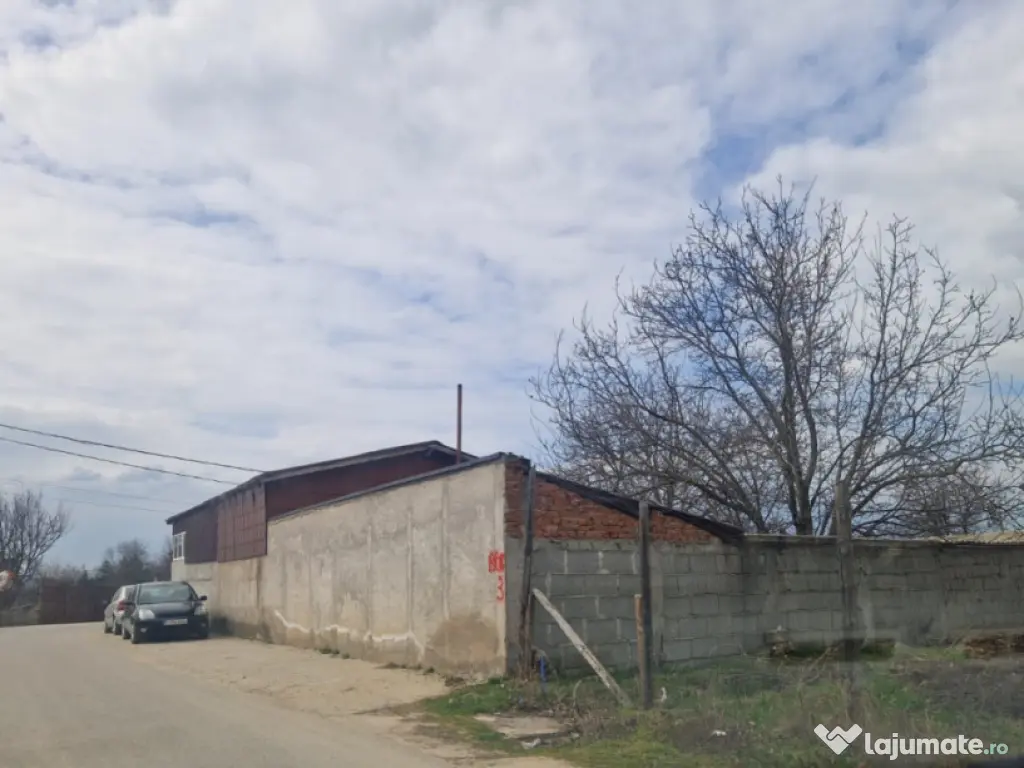 Teren de vânzare 1000 mp – Malu Mare 