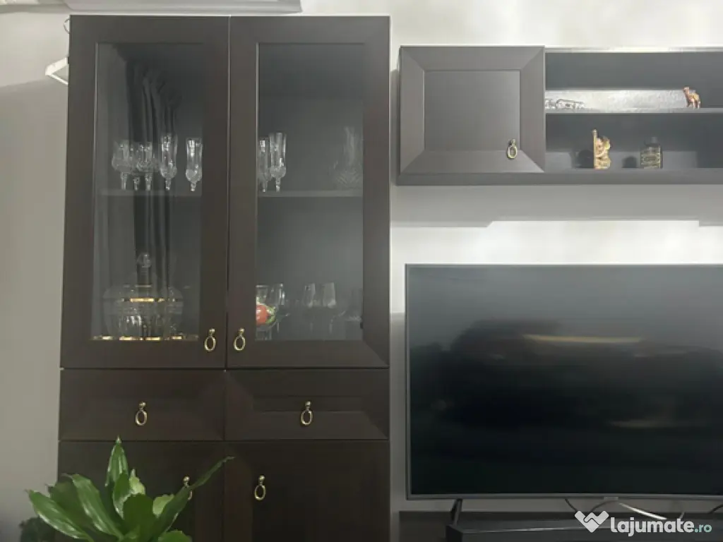 Mobilă living Casa Rusu 