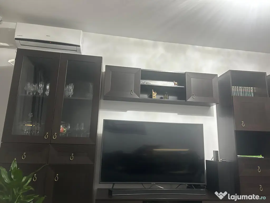 Mobilă living Casa Rusu 