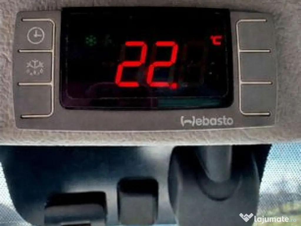 Transport câini și pisici România – Anglia | Siguranță garantată 