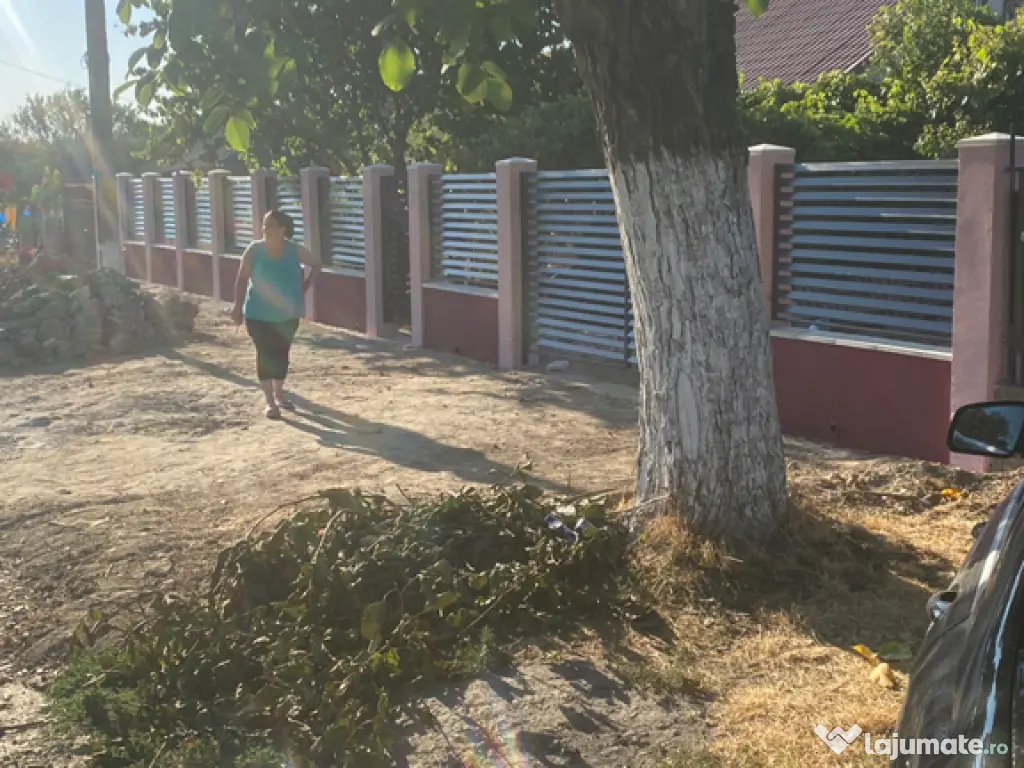 Construiesc garduri și porți -lucrări rapide și serioase 