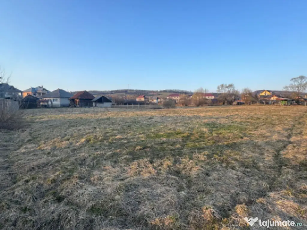 Casă cu suflet și 40 ari teren, panoramă superbă, comple 