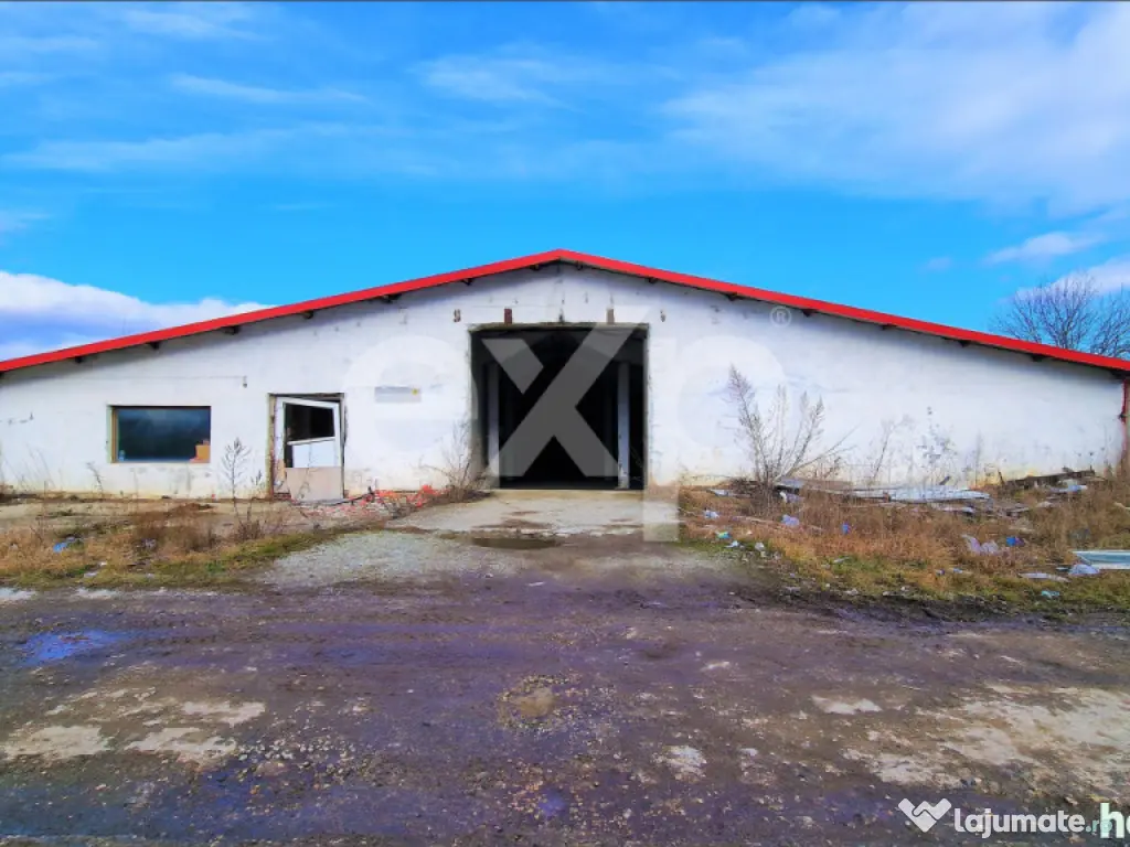 Hala industriala 2000 mp + teren 2776 mp | Rasnov – zona i 