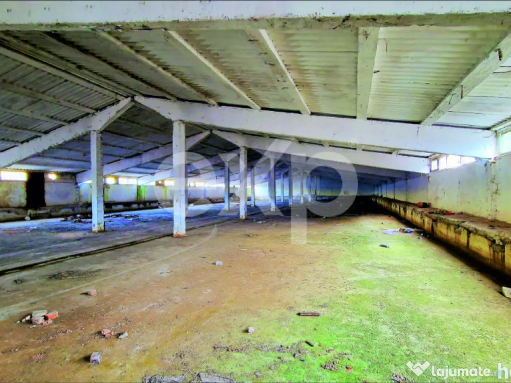 Hala industriala 2000 mp + teren 2776 mp | Rasnov – zona i 