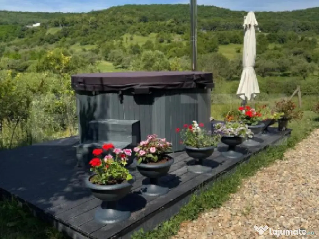 Agropensiune în mijlocul naturii – business la cheie, ven 