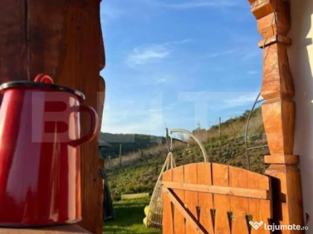 Agropensiune în mijlocul naturii – business la cheie, ven 