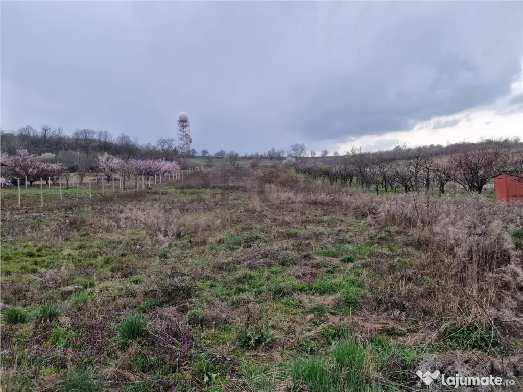 Teren intravilan in Oncea, str. Prunilor 