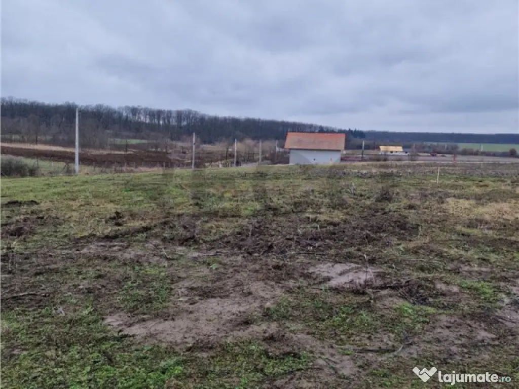 Teren intravilan cu proiect de casa in Pausa. 