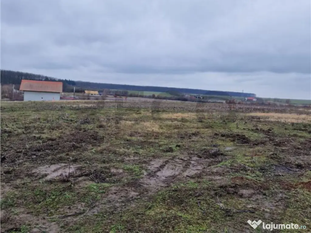 Teren intravilan cu proiect de casa in Pausa. 