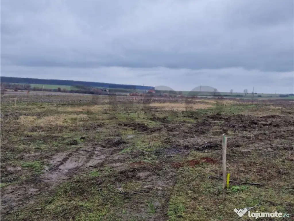 Teren intravilan cu proiect de casa in Pausa. 